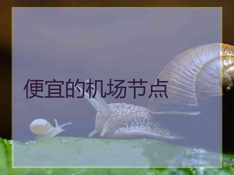 便宜的机场节点