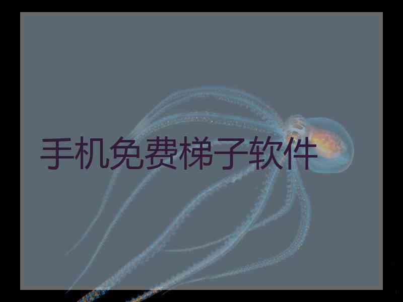 手机免费梯子软件