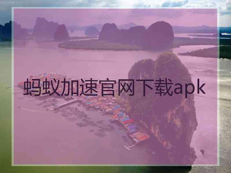 蚂蚁加速官网下载apk