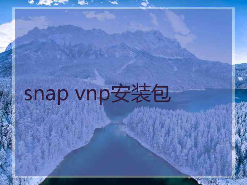 snap vnp安装包