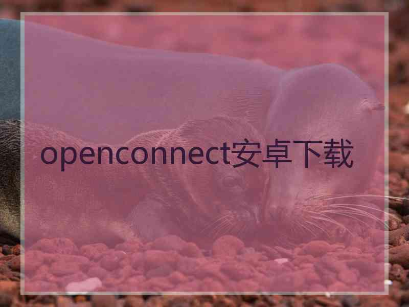 openconnect安卓下载