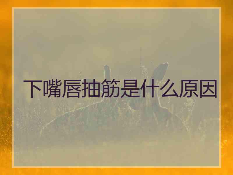 下嘴唇抽筋是什么原因