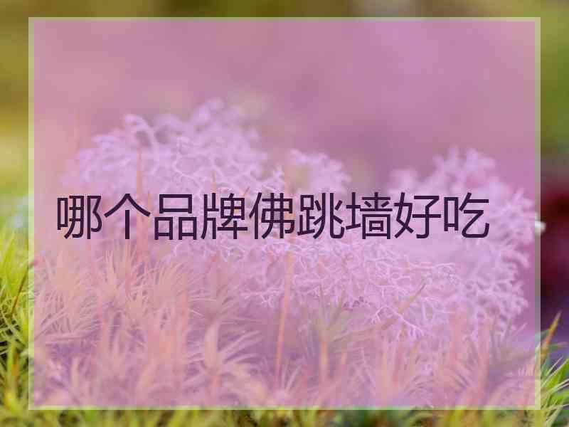 哪个品牌佛跳墙好吃