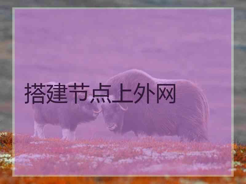 搭建节点上外网