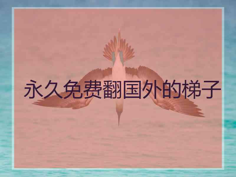 永久免费翻国外的梯子