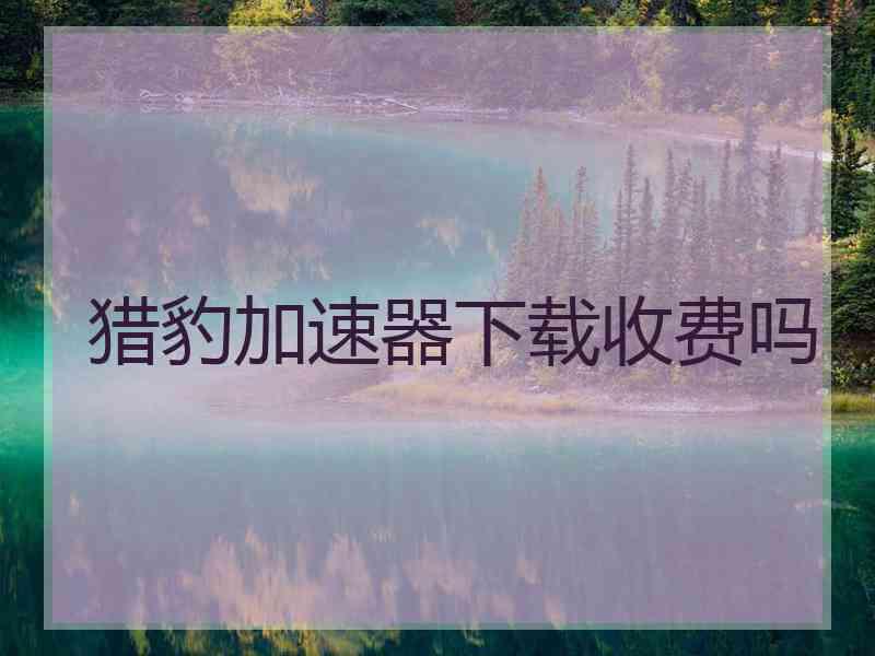 猎豹加速器下载收费吗