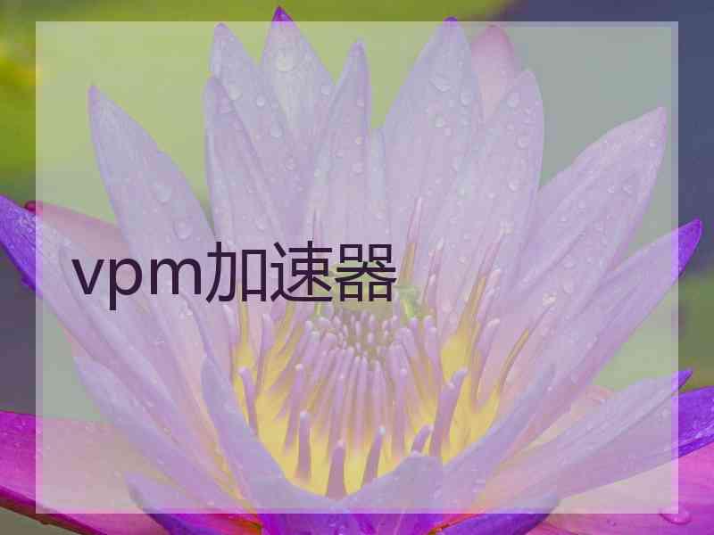 vpm加速器