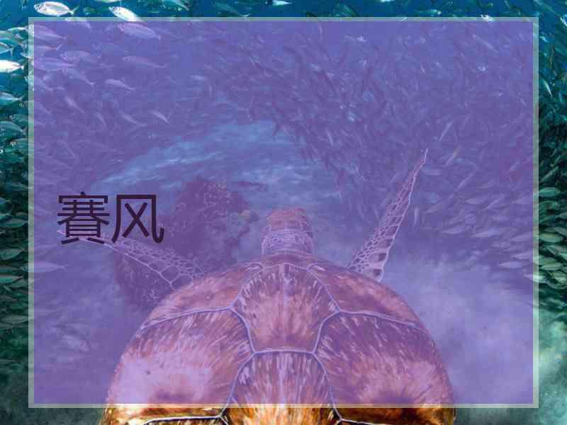 賽风