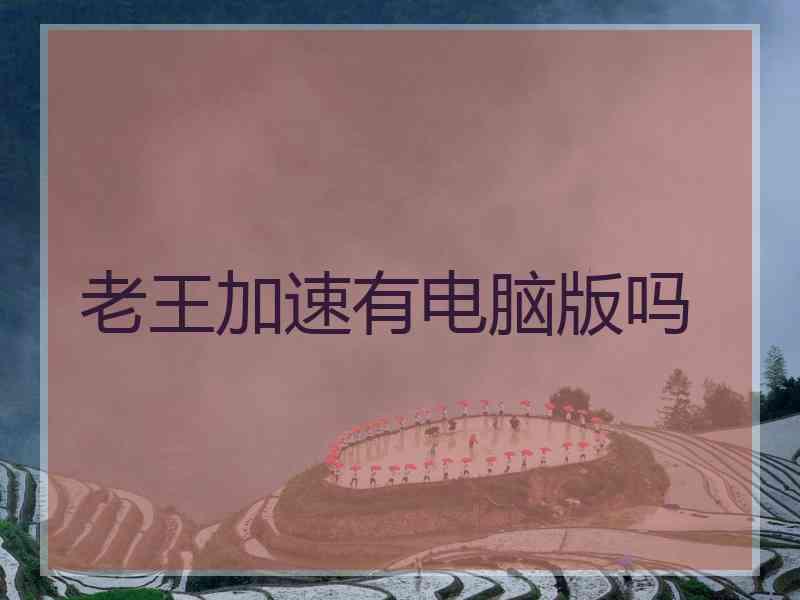 老王加速有电脑版吗
