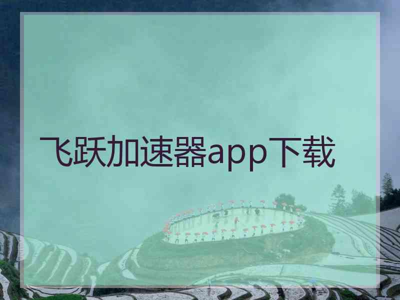 飞跃加速器app下载