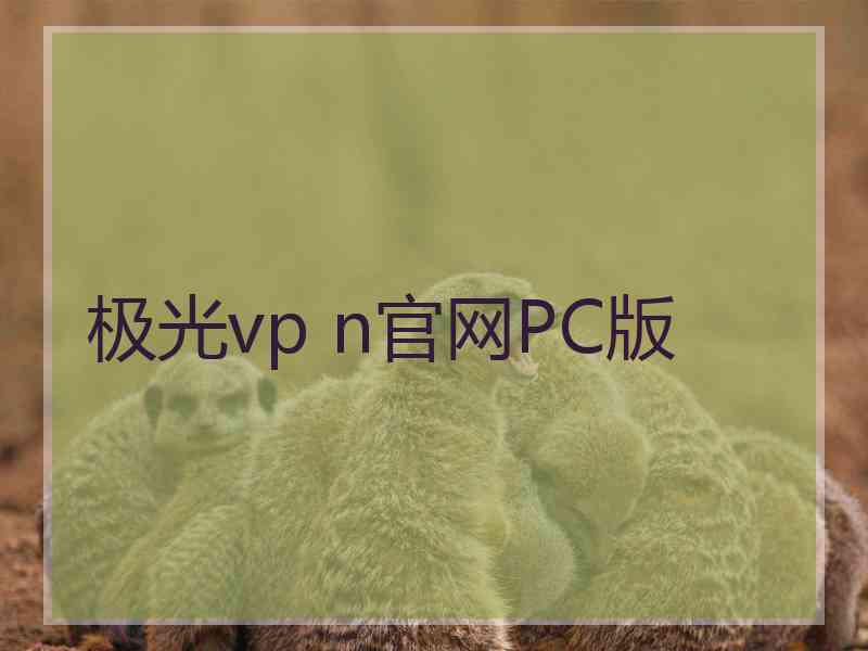 极光vp n官网PC版