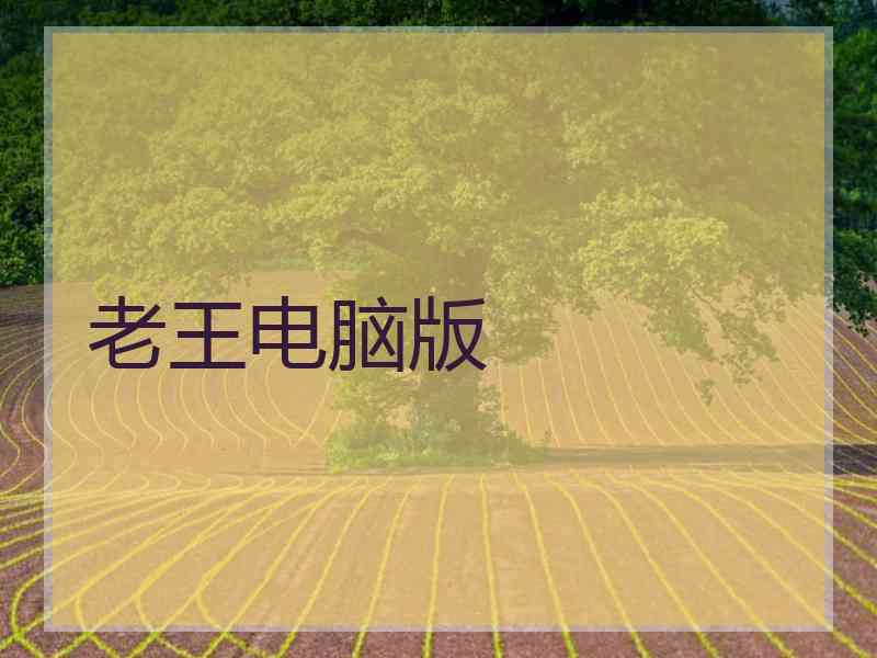 老王电脑版