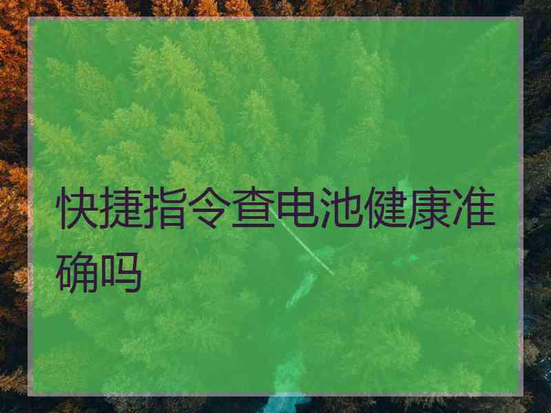 快捷指令查电池健康准确吗