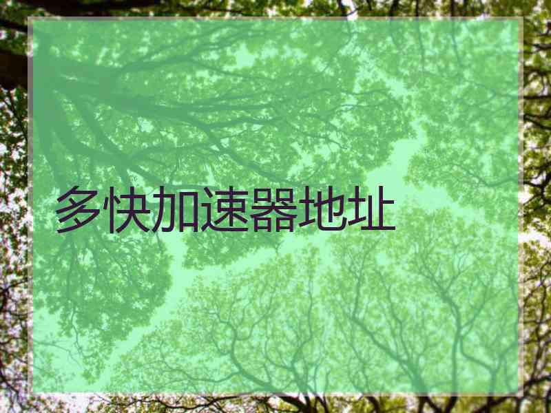 多快加速器地址