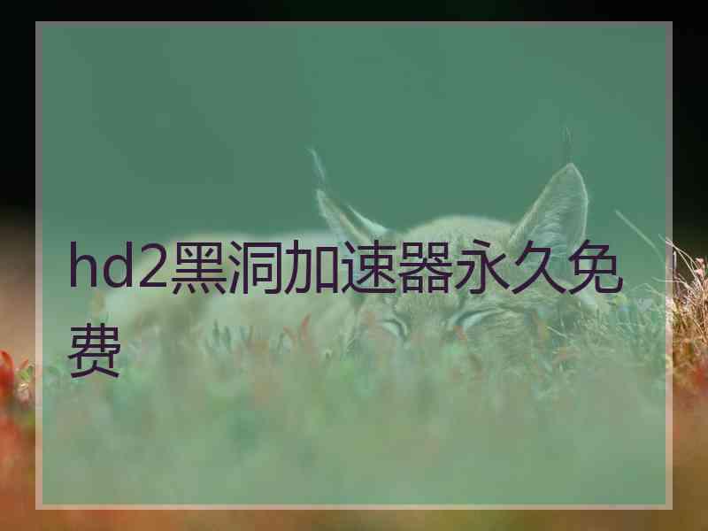 hd2黑洞加速器永久免费