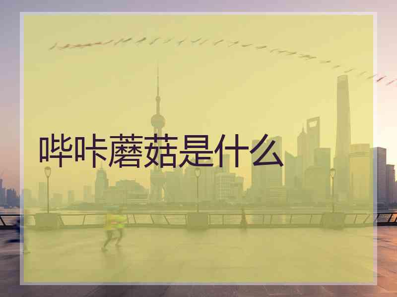 哔咔蘑菇是什么