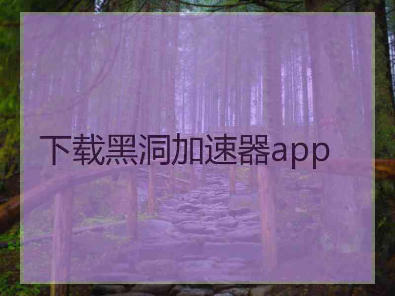 下载黑洞加速器app