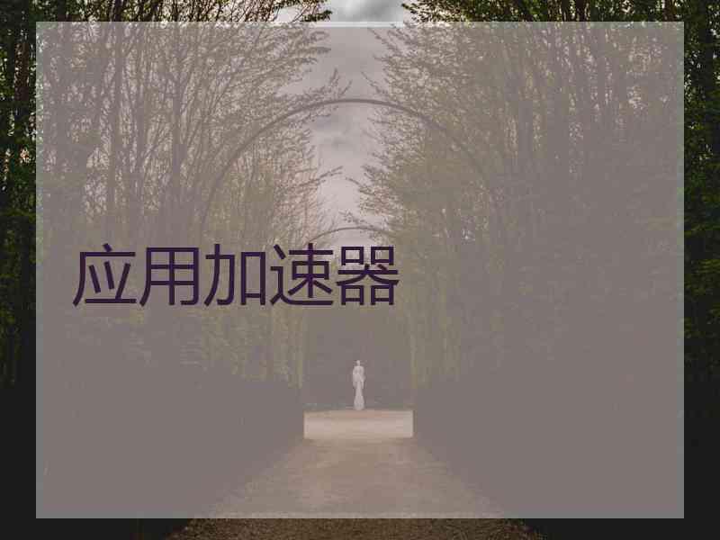 应用加速器