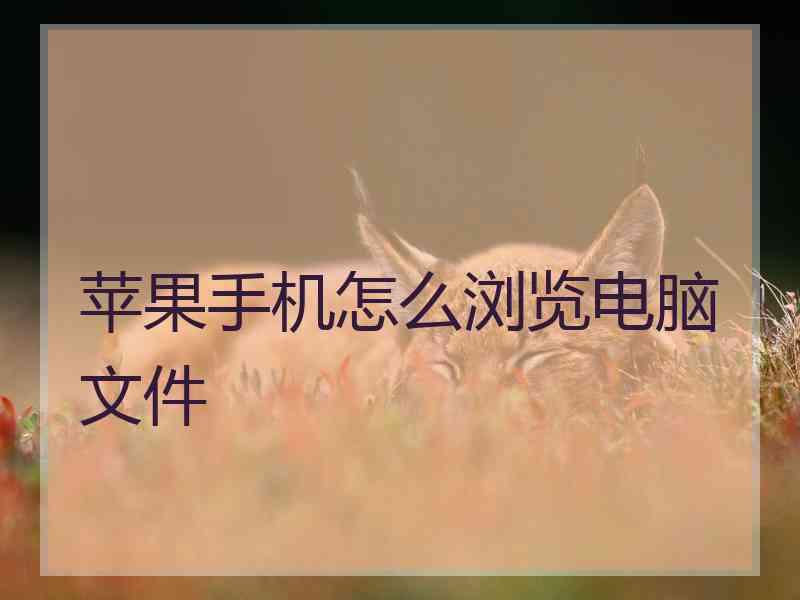 苹果手机怎么浏览电脑文件