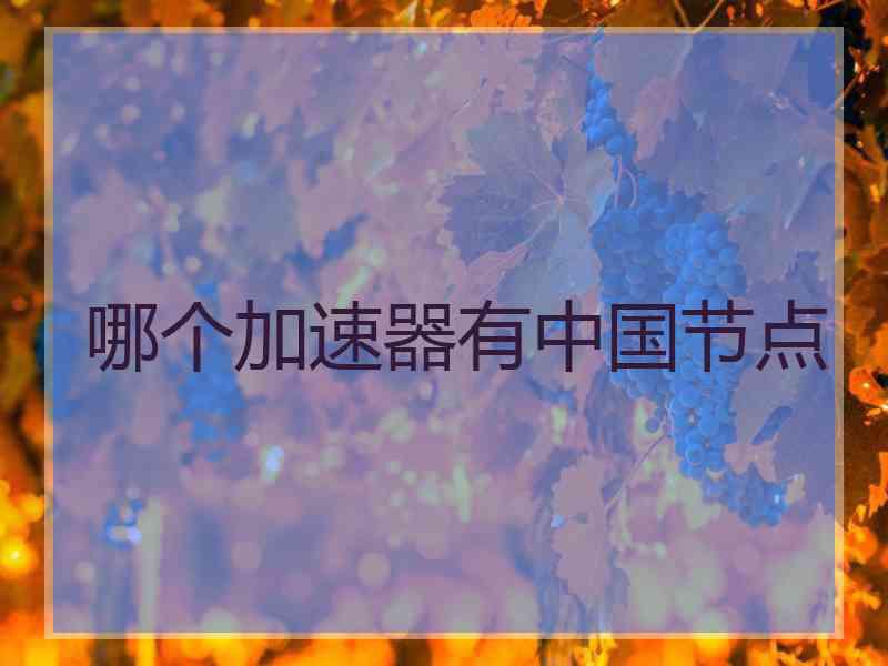 哪个加速器有中国节点