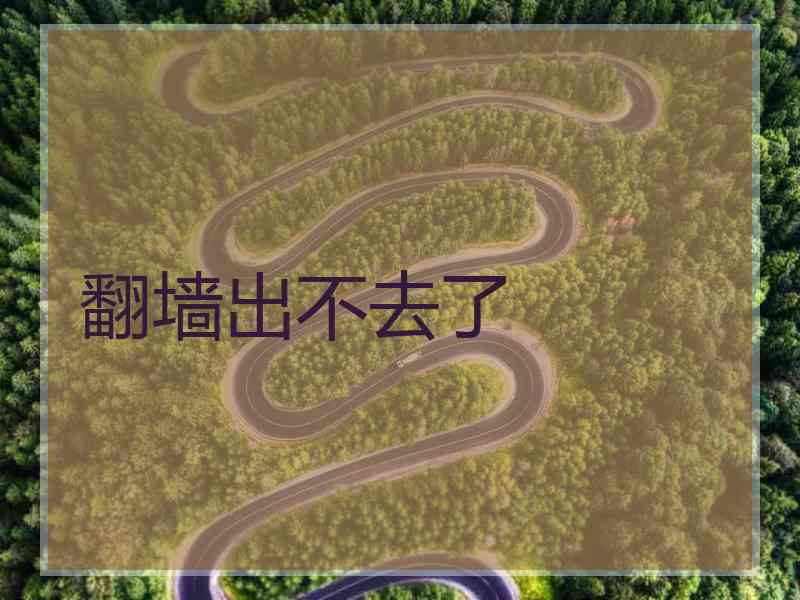 翻墙出不去了