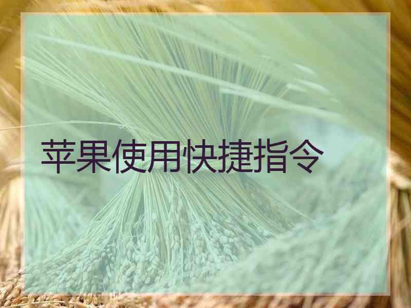 苹果使用快捷指令