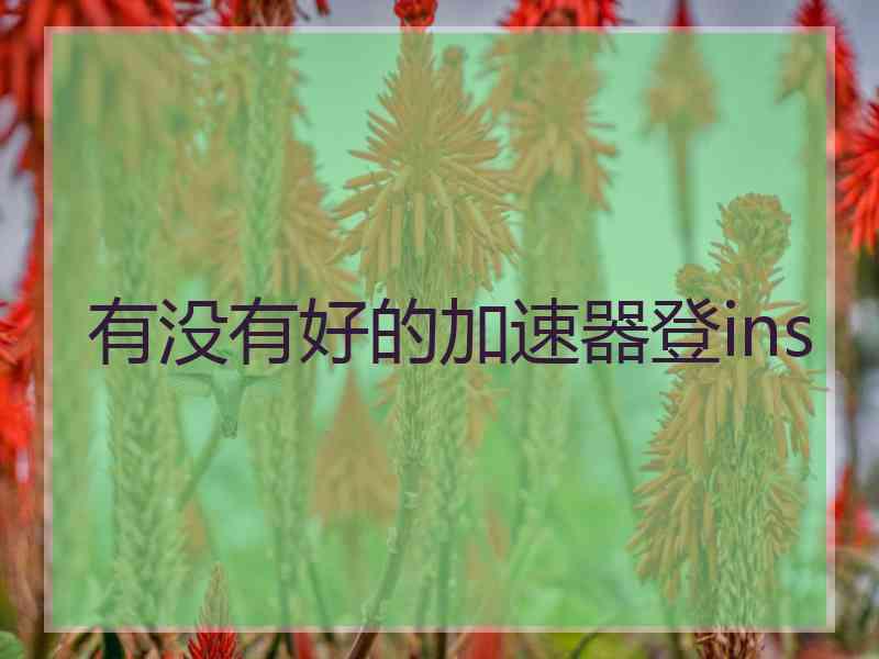 有没有好的加速器登ins