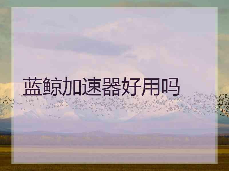 蓝鲸加速器好用吗