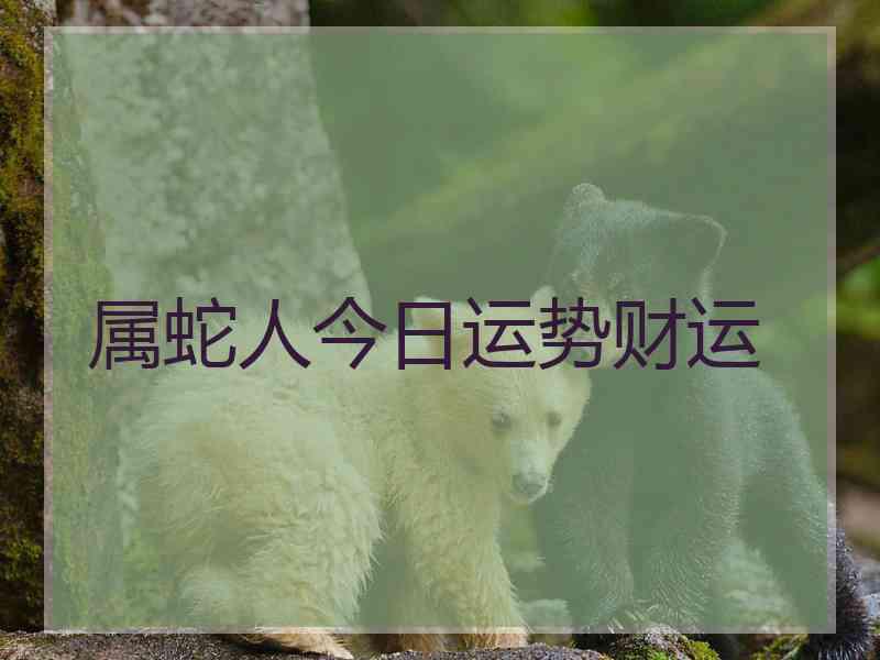 属蛇人今日运势财运