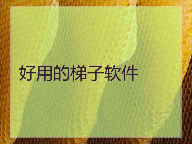 好用的梯子软件