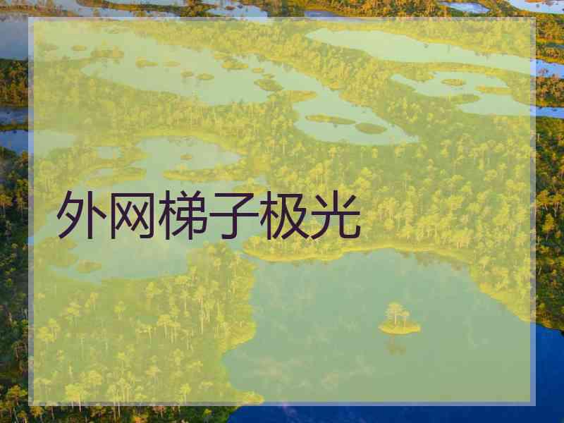外网梯子极光