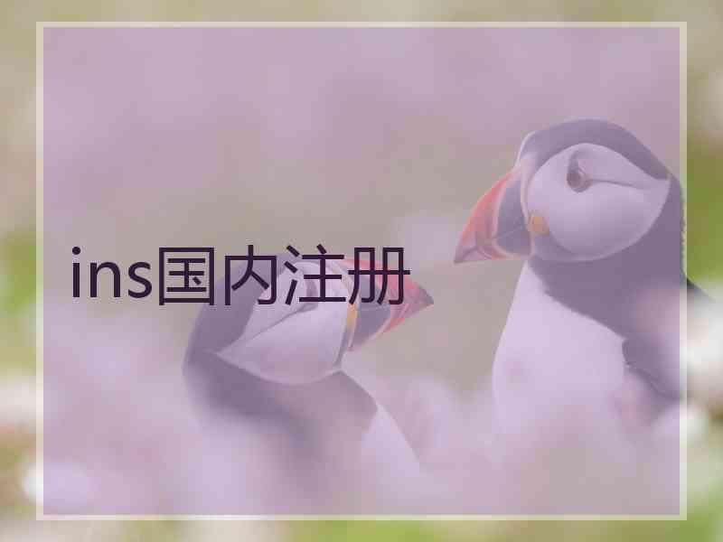 ins国内注册