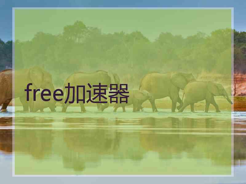 free加速器