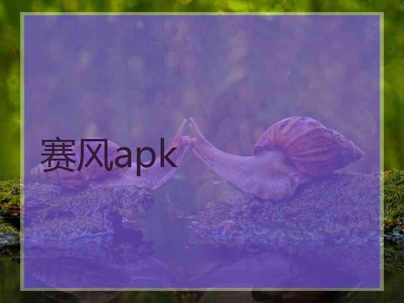 赛风apk