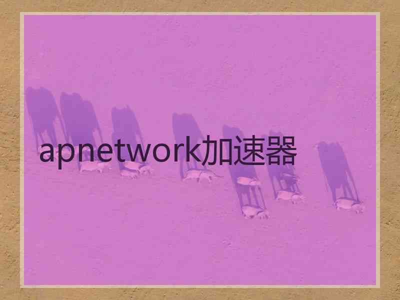 apnetwork加速器