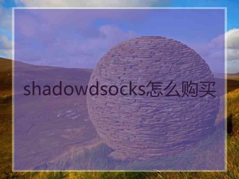 shadowdsocks怎么购买