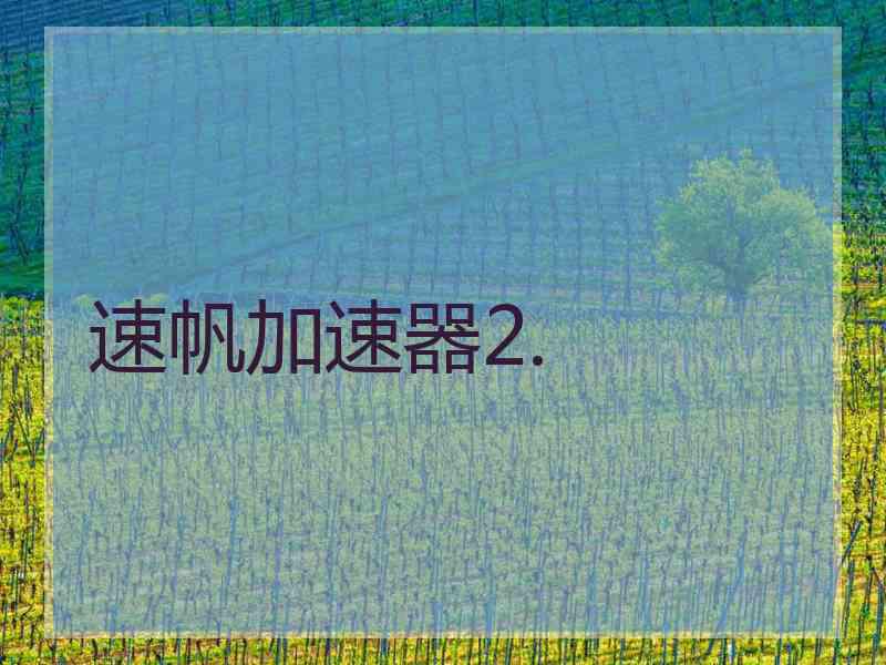 速帆加速器2.