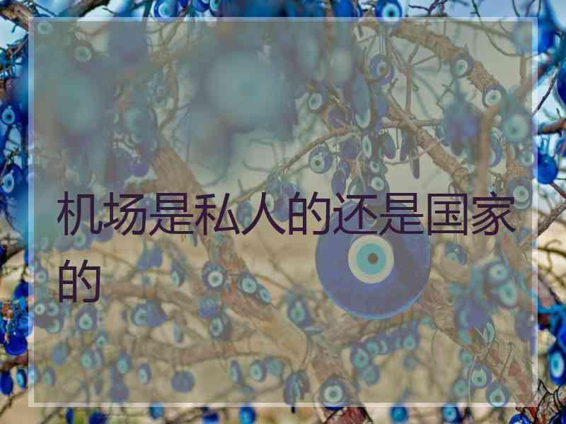 机场是私人的还是国家的