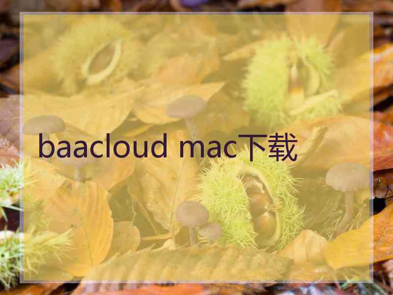 baacloud mac下载