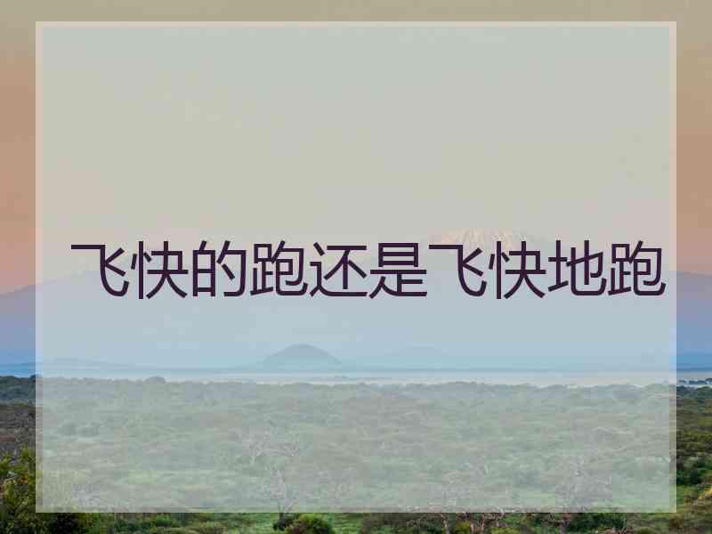 飞快的跑还是飞快地跑