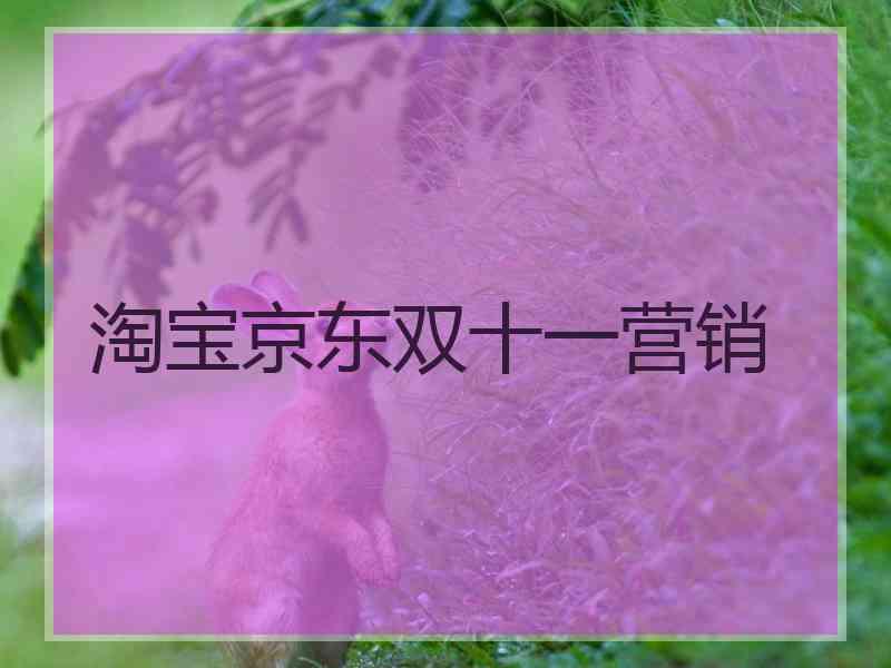 淘宝京东双十一营销