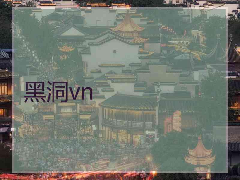 黑洞vn
