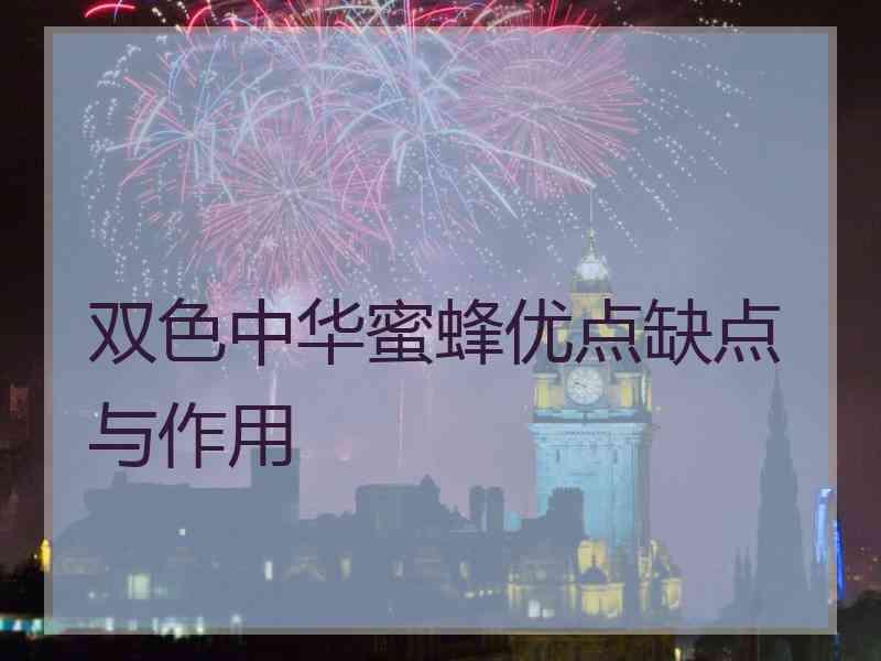 双色中华蜜蜂优点缺点与作用