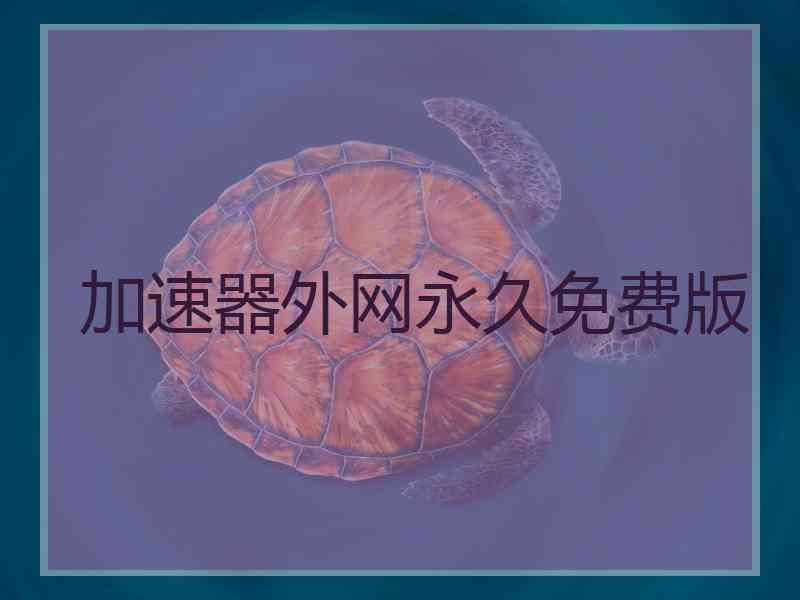 加速器外网永久免费版