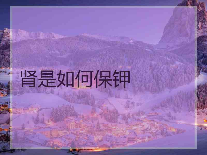 肾是如何保钾