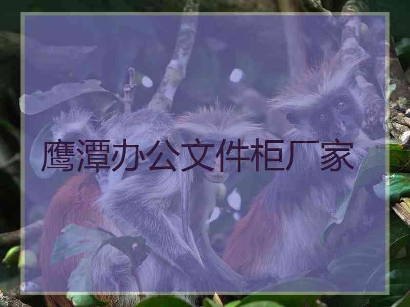 鹰潭办公文件柜厂家