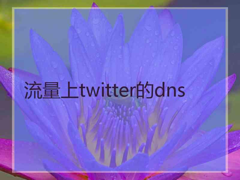 流量上twitter的dns