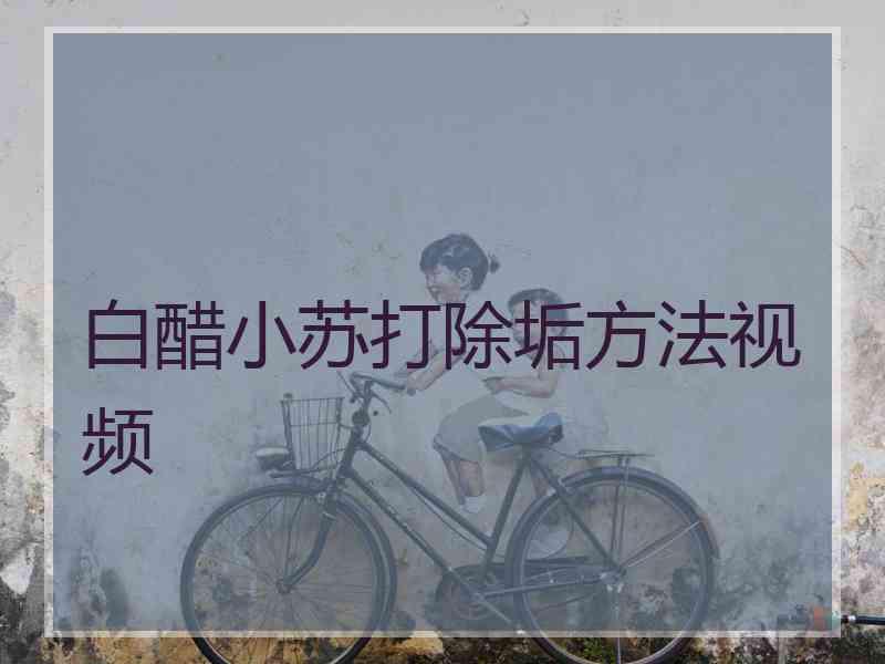白醋小苏打除垢方法视频