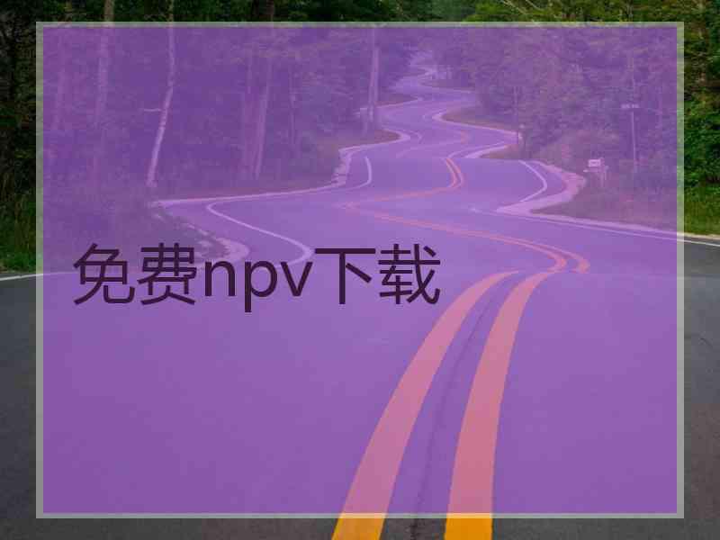 免费npv下载