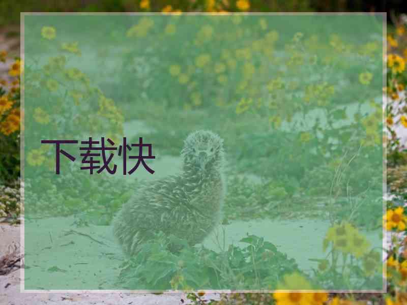 下载快